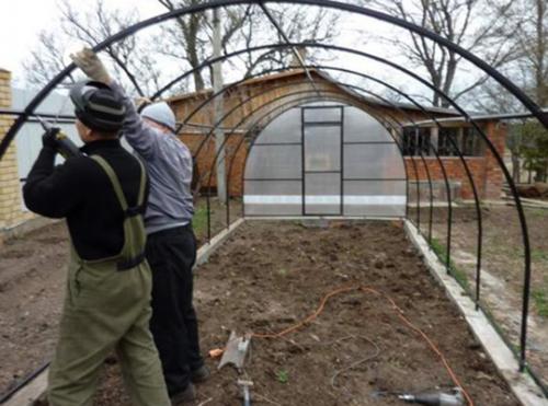 Какие дополнительные услуги могут увеличить стоимость установки теплицы. Сколько стоит монтаж теплицы из поликарбоната