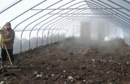 Как обработать теплицу весной: все способы подготовки «объекта» к новому сезону