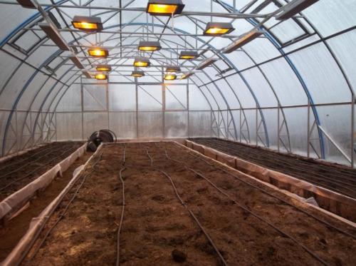 Как правильно установить парник из поликарбоната в Москве 27