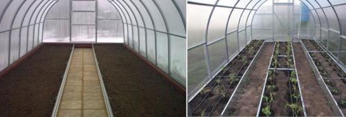 Как правильно заполнить теплицу. Грядки в теплице своими руками: лучшие проекты