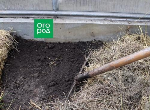 Как вымыть теплицу из поликарбоната осенью. Уход за теплицей после сбора урожая 05