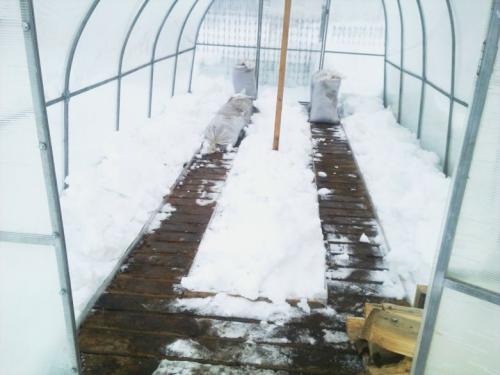 Обработка теплицы марганцовкой. Обработка теплицы весной от болезней и вредителей: для чего нужна и как правильно проводить?