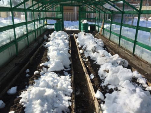 Обработка теплицы марганцовкой. Обработка теплицы весной от болезней и вредителей: для чего нужна и как правильно проводить?