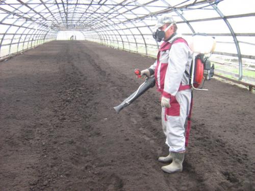 Обработка теплицы марганцовкой. Обработка теплицы весной от болезней и вредителей: для чего нужна и как правильно проводить?