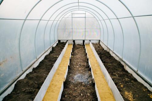 Обработка теплицы марганцовкой. Обработка теплицы весной от болезней и вредителей: для чего нужна и как правильно проводить?