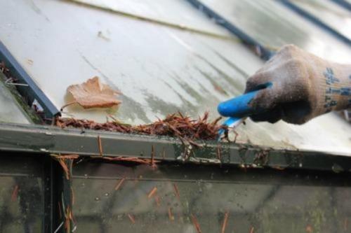 Каким раствором помыть теплицу осенью. Промывка  теплицы