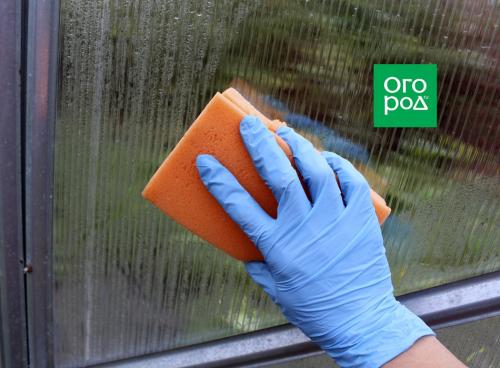 Как помыть теплицу из поликарбоната осенью. Ша.  Обработка земли в теплице осенью от вредителей 01