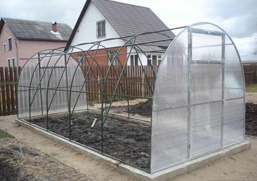 Чем продезинфицировать теплицу. Весенняя уборка теплицы