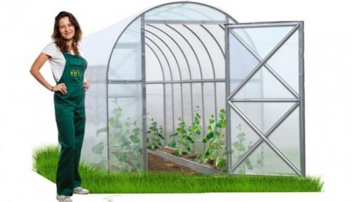 Чем обработать землю в теплице от грибковых заболеваний. Серная шашка для обработки теплицы из поликарбоната весной