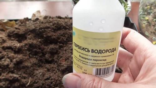 Дезинфекция теплицы из поликарбоната весной. Обработка теплицы весной 03