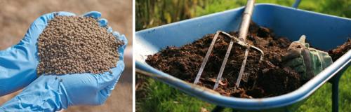 Обработка теплицы весной без замены почвы. С ЧЕГО НАЧИНАТЬ ПОДГОТОВКУ ТЕПЛИЦЫ К НОВОМУ ЗЕЗОНУ?