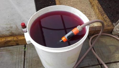 Подготовка теплицы осенью. Как правильно подготовить грунт в теплице осенью