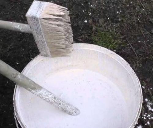 Чем обработать теплицу весной от фитофторы. Дезинфекция и обработка теплицы