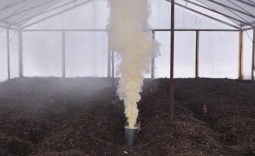 Чем обработать теплицу весной от фитофторы. Дезинфекция и обработка теплицы