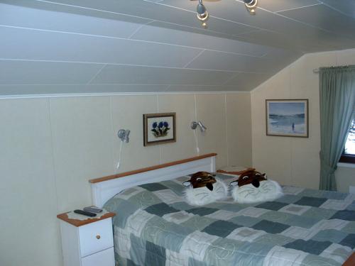 Какие материалы используются для оформления интерьера кантри-мансарды. Виды материалов для отделки мансарды