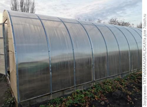 Как отмыть теплицу от зелени. Ноябрь встречаем – теплицу на зимовку провожаем