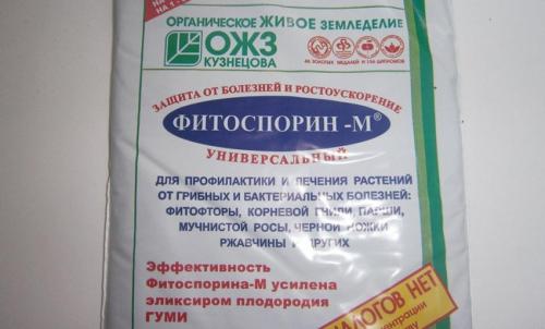 Чем обработать теплицу из поликарбоната осенью. Санитарная обработка теплицы из поликарбоната осенью 08