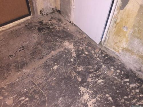 Экономная стяжка пола. Стяжка пола самостоятельно: как правильно подготовить пол и как его залить