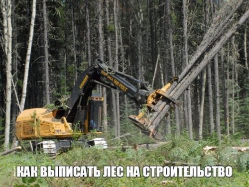 Какие материалы можно использовать для строительства бесплатного дома за городом. Бесплатные стройматериалы: 150 кубов леса на строительство дома от государства