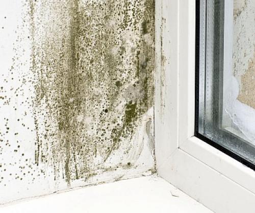 REHAU delight 70 или VEKA Softlin.  Сравнение оконных профилей REHAU и VEKA по техническим характеристикам 13