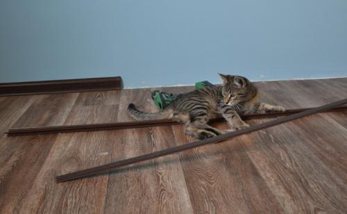 Демонтаж линолеума. Роман Неглядов