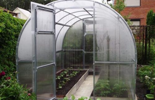 Как отмыть теплицу от зелени. Черная плесень и зелень в теплице из поликарбоната: почему растет и как убрать это