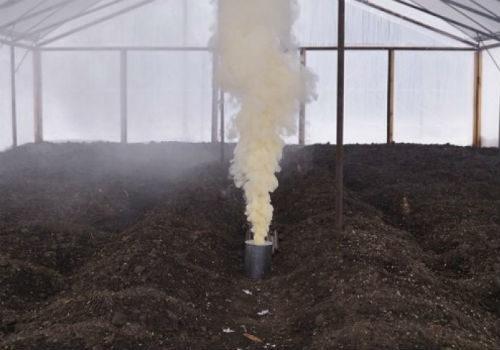 Обработка теплицы осенью от фитофторы. Дезинфекция