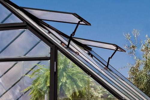 Как отмыть теплицу от зелени. Черная плесень и зелень в теплице из поликарбоната: почему растет и как убрать это