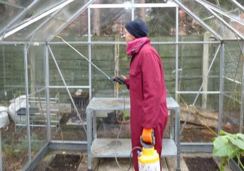 Обработка теплицы осенью от фитофторы. Дезинфекция