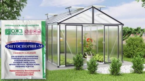 Обработка теплицы Фитоспорином. Преимущества обработки Фитоспорином