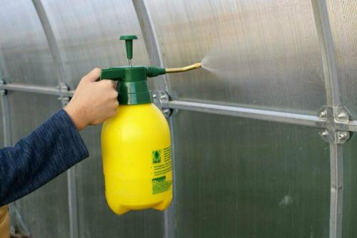 Уборка теплицы из поликарбоната осенью. Уборка в теплице 03 Уборка теплицы из поликарбоната осенью. Уборка в теплице 03