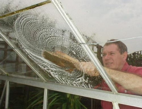 Чем помыть теплицу из поликарбоната осенью. Чем помыть теплицу из поликарбоната внутри осенью