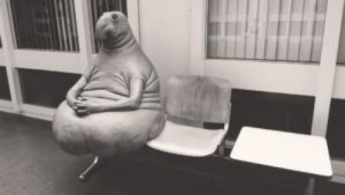 Сколько времени нужно ждать, пока наливной пол полностью высохнет. Сколько сохнет наливной пол