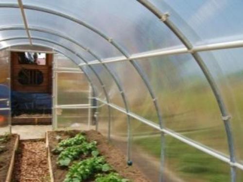 Как сделать теплицу из профильной трубы своими руками. Особенности изготовления теплицы из профильной трубы 02 Как сделать теплицу из профильной трубы своими руками. Особенности изготовления теплицы из профильной трубы 02