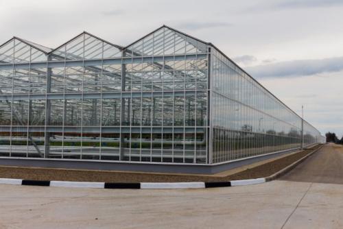 Система освещения теплиц. Освещение для разных видов теплиц