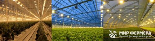 Освещение для теплиц светодиодное. Как сделать освещение для теплиц своими руками 01