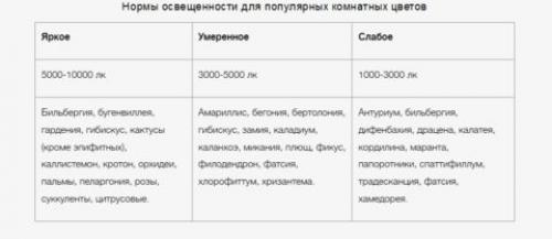 Led освещение для растений. Правила устройства освещения для растений