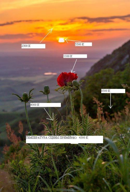 4200 кельвинов, какой свет. Какую температуру свечения (цвета) выбрать.