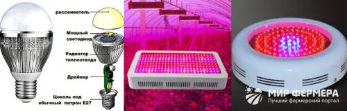 Освещение теплицы светодиодами. Освещение Теплиц светодиодами