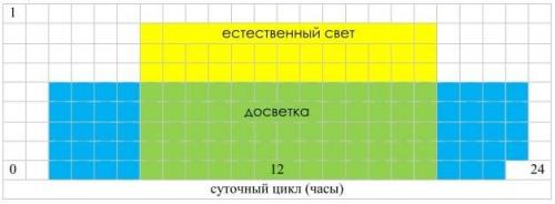 Освещение теплицы светодиодными лампами Своими руками. Когда и сколько времени нужно освещать растения