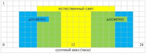 Освещение теплицы светодиодными лампами Своими руками. Когда и сколько времени нужно освещать растения