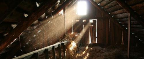 Какое освещение самое безвредное для глаз. Какое освещение лучше для глаз? 13