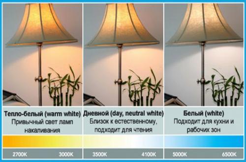 Какой свет лучше 4000к или 6500к. Светодиодные лампы 4000 К и 6500 К