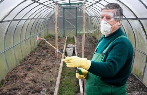 Чем обработать теплицу из поликарбоната осенью: полезные советы от Геостарт 03