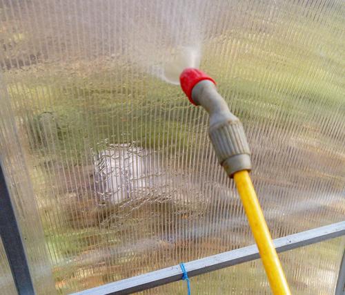 Можно ли использовать народные средства для обработки теплицы из поликарбоната. Обработка теплицы осенью: схема обработки и народные методы