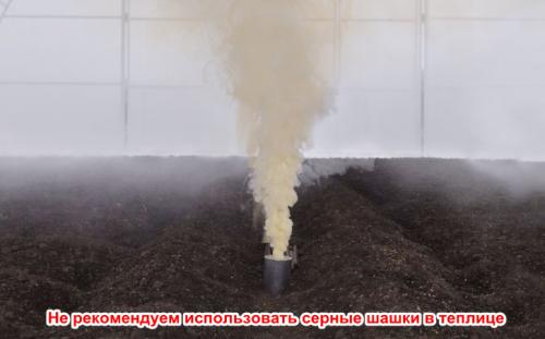 Чем обработать теплицу после уборки урожая осенью 2025: полное руководство 11 Чем обработать теплицу после уборки урожая осенью 2025: полное руководство 11