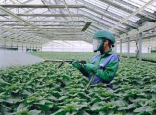 Какая Frequency (частота) обработки теплицы осенью необходима для предотвращения заражения. Фитосанитарные работы и мероприятия в теплице