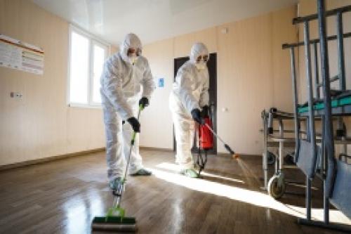 Полное руководство по эффективной дезинфекции теплицы осенью 05 Полное руководство по эффективной дезинфекции теплицы осенью 05