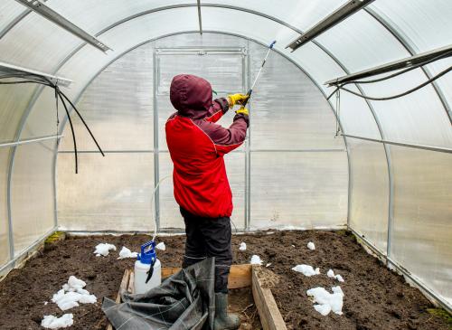 Полное руководство по эффективной дезинфекции теплицы осенью 01 Полное руководство по эффективной дезинфекции теплицы осенью 01