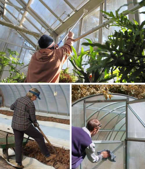 Подготовка теплицы к следующему сезону: полезные советы 02